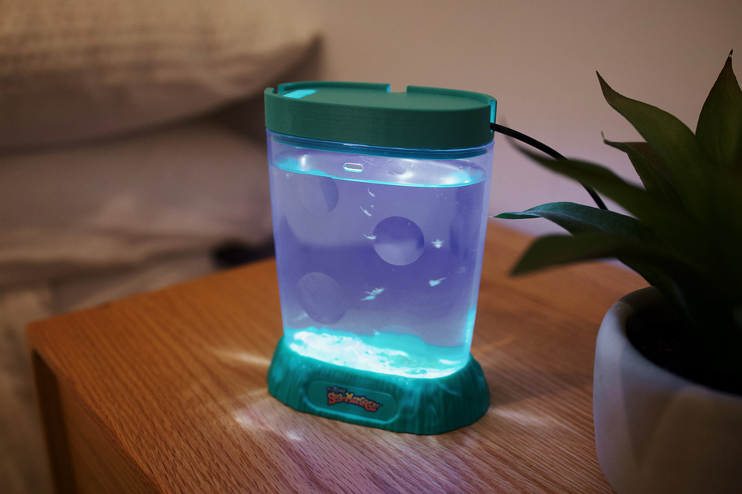 Light Up Zoo 3D Printed Lid