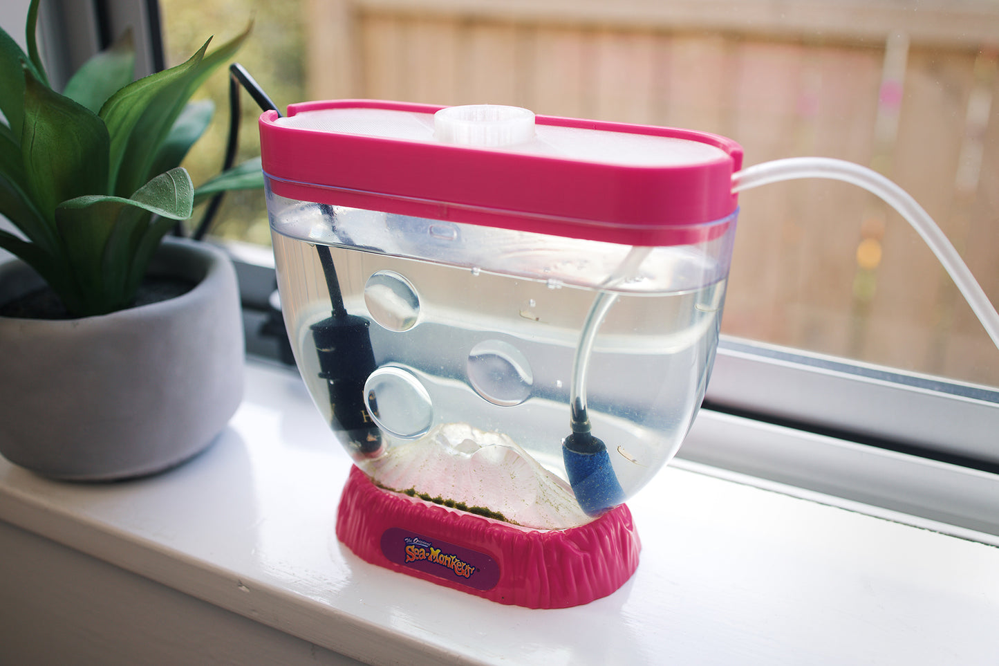 Ocean Volcanium 3D Printed Lid