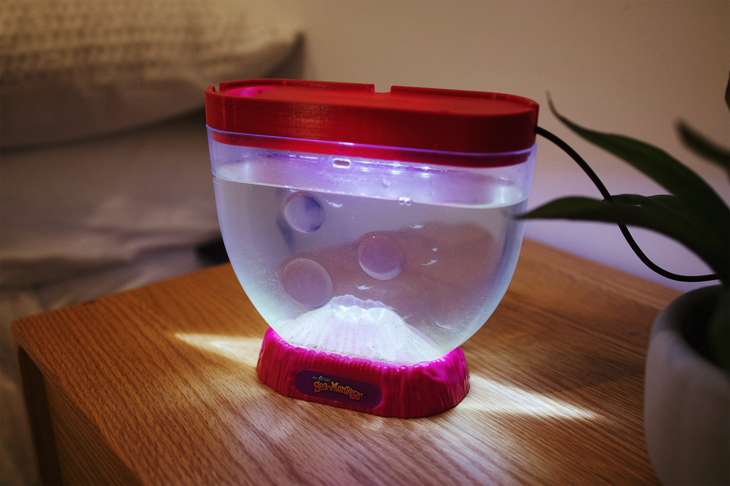 Light Up Volcano 3D Printed Lid