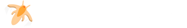 Picocosmos
